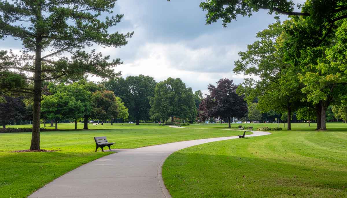 Community members gathering in a sunlit park
